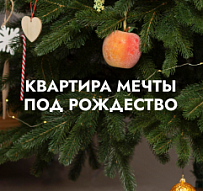 Как 3 семьи решили свой квартирный вопрос с лучшим агентством недвижимости“Твоей столицей” под Рождество