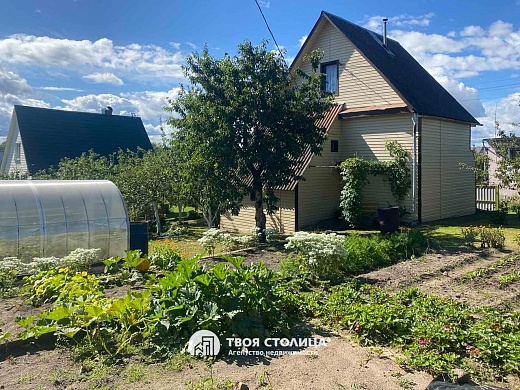 дача, Ружамполь - фото 13 