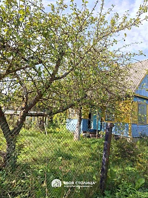 дача, Елочка - фото 6 