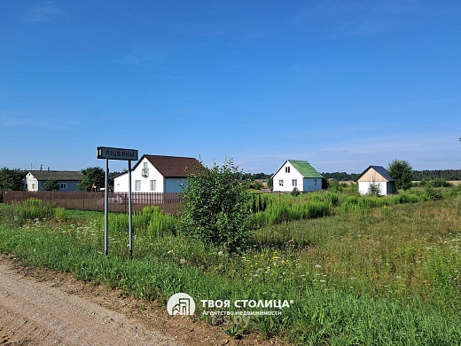 дом, Литвяны - фото 24 