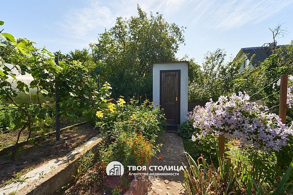 дача, Зацень - фото 46 