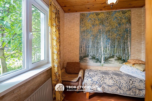 дача, Репортер - фото 11 