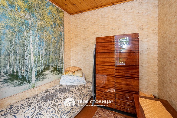 дача, Репортер - фото 13 