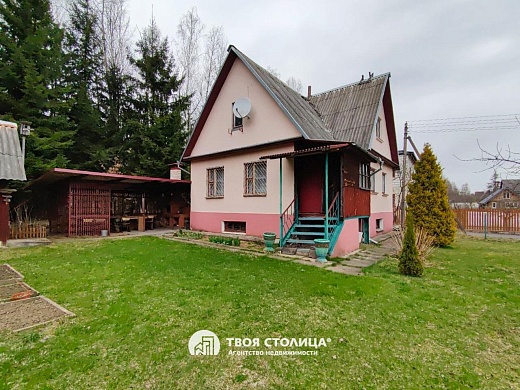 дача, Репортер