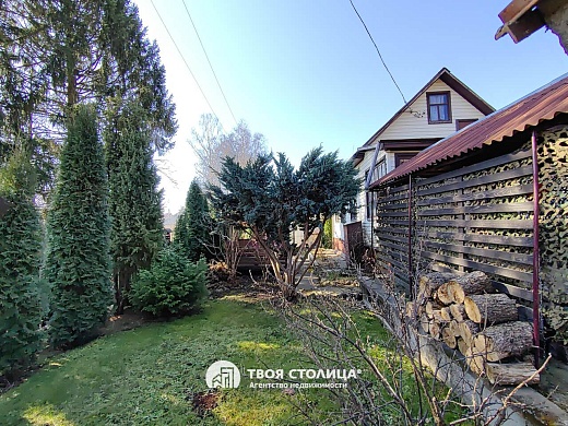 дача, Крыжовка - фото 25 