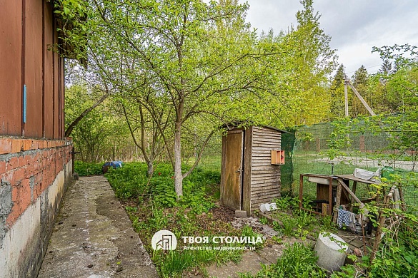 дача, Петришки - фото 6 