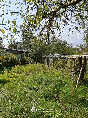 дача, Елочка - фото 11 