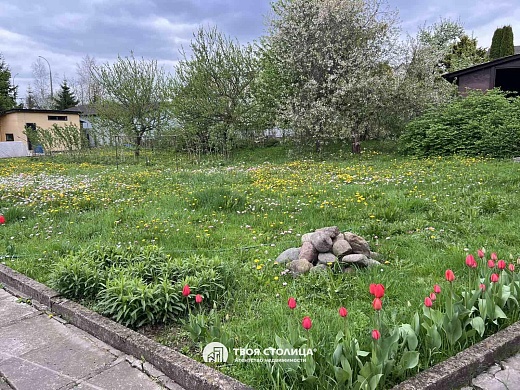 дом, Дворицкая Слобода - фото 12 