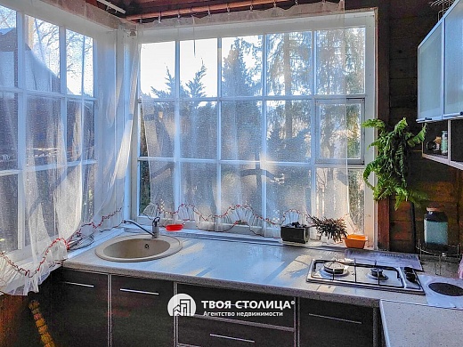 дача, Крыжовка - фото 11 