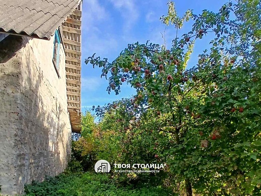 дача, Чистая Надзея - фото 3 