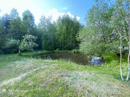 коттедж, Боровляны - фото 39 