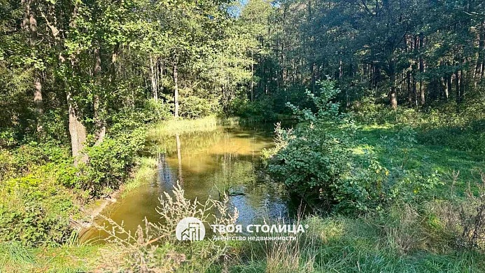 дом, Красноозерная - фото 18 