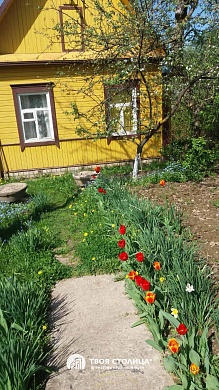 дача, ЗОЛОТОЙ КОЛОСОК - фото 3 