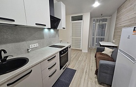 Сдается однокомнатная квартира, Минск, Левина , 9 за 500 у.е.