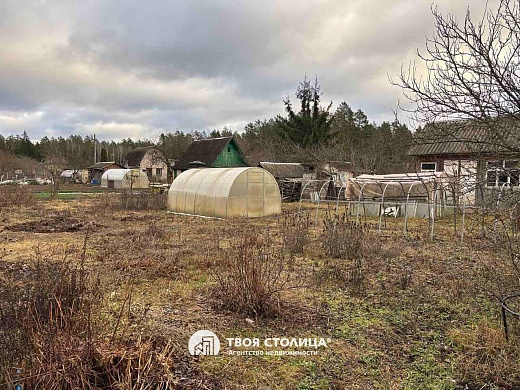 дача, Белая березка - фото 18 