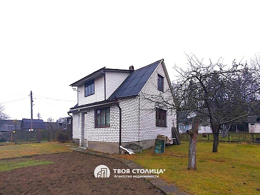 дача, Репортер - фото 3 