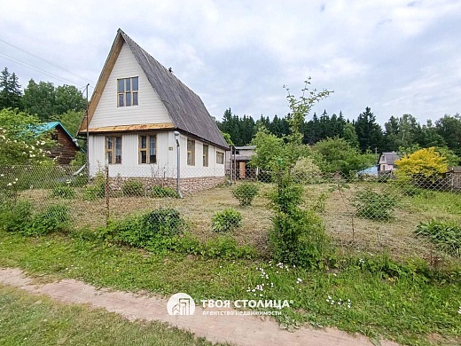 дача, ПЕРЕЛЕСОК - фото 28 