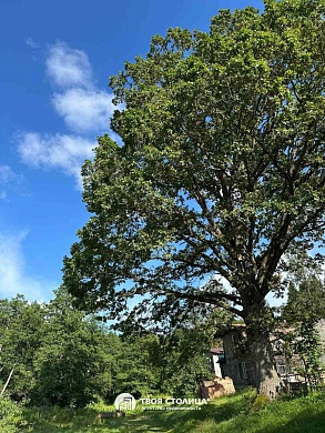 дом, Ислочь - фото 2 