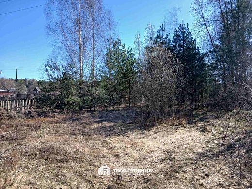 дом, Верейцы - фото 9 