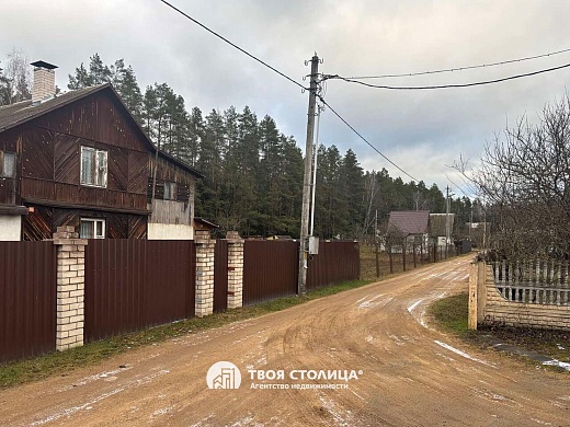 дача, Белая березка - фото 23 