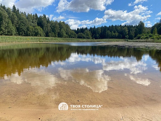 дача, Ружамполь - фото 20 