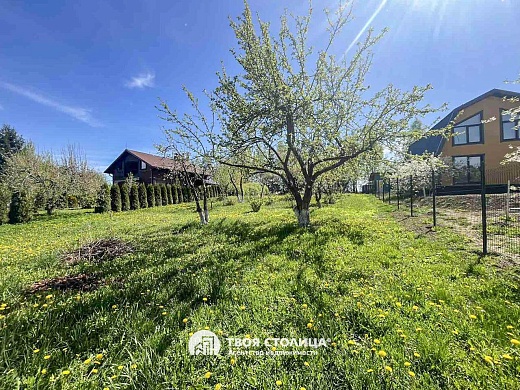 дача, Беларучи - фото 3 