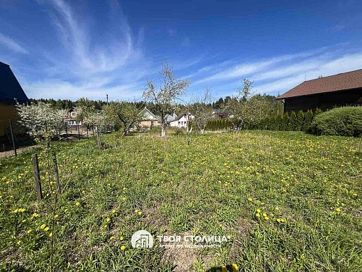 дача, Беларучи - фото 14 