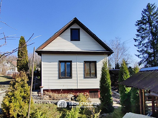 дача, Крыжовка - фото 22 