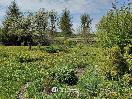 дом, Кучкуны - фото 5 