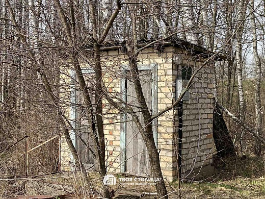 дача, Домашаны - фото 11 