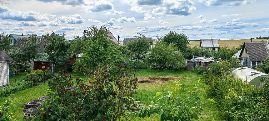 дача, Домашаны - фото 7 