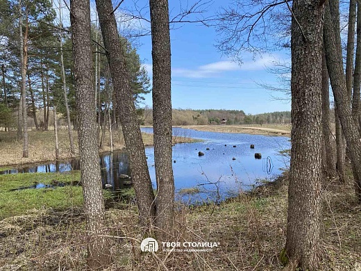 дом, Дружичи - фото 16 