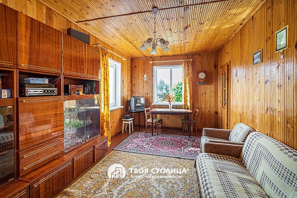 дача, Репортер - фото 5 