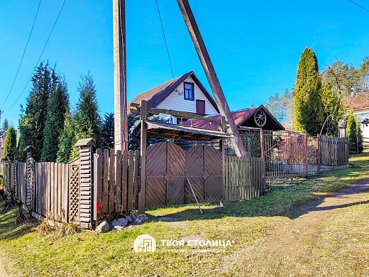 дача, Крыжовка - фото 26 