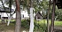 дом, Петровичи - фото 56 