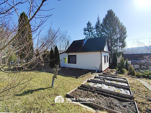 дача, Крыжовка - фото 19 