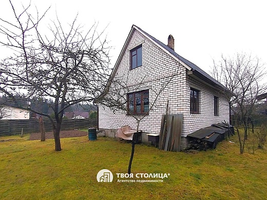 дача, Репортер - фото 4 