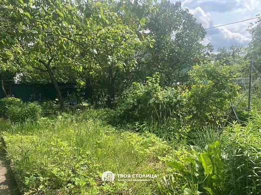 дача, Подшипник - фото 25 