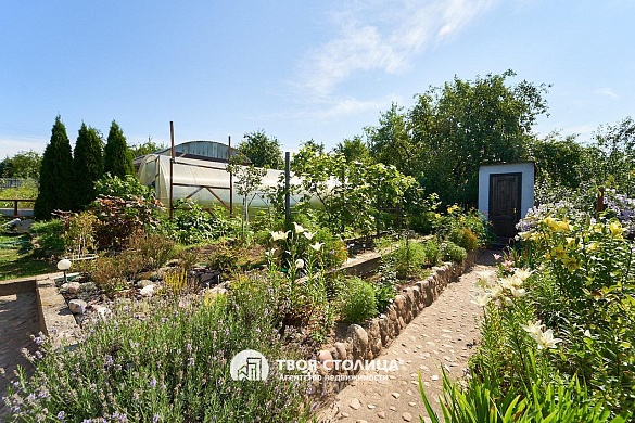 дача, Зацень - фото 45 