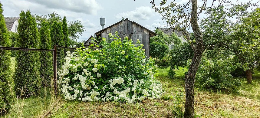 дача, Домашаны - фото 11 