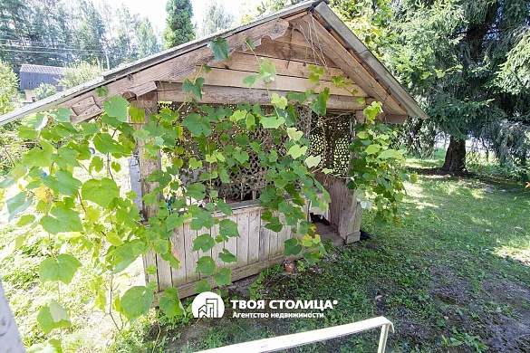 дача, Белая сирень - фото 37 