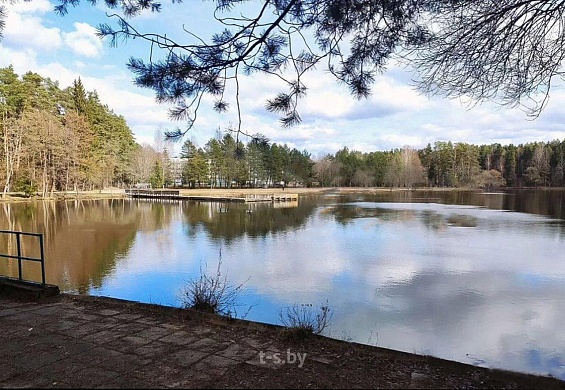 коттедж, Аксаковщина - фото 4 