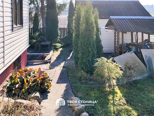 дача, Крыжовка - фото 13 