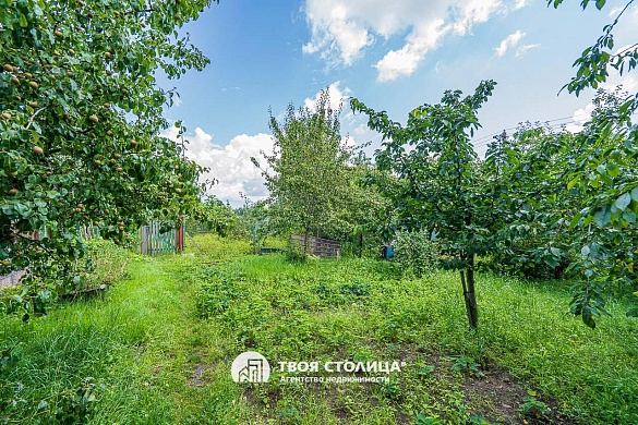 коттедж, Заболотье - фото 47 