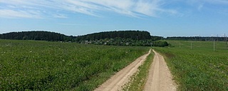 Деревня Дубовый лес