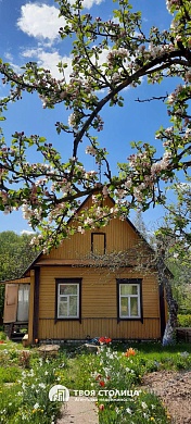 дача, ЗОЛОТОЙ КОЛОСОК - фото 4 