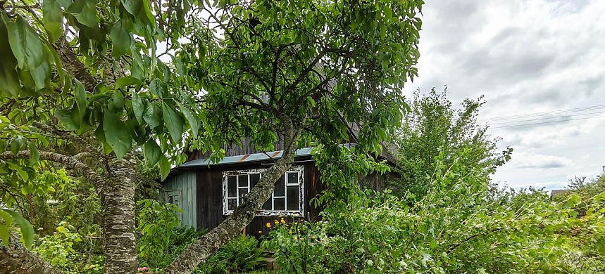 дача, Домашаны - фото 10 