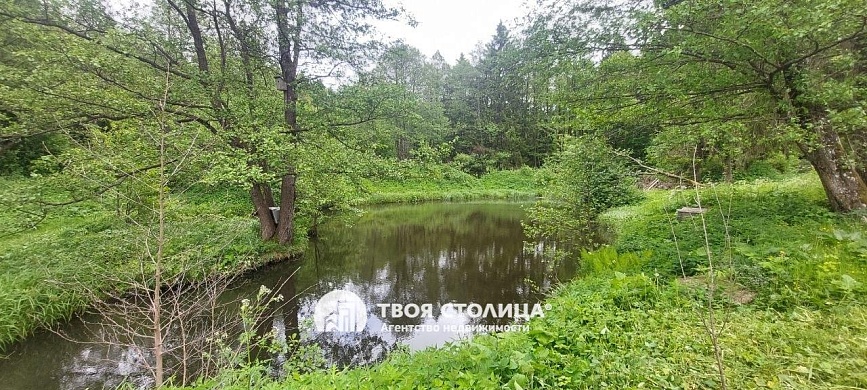 полдома, Ислочь - фото 12 