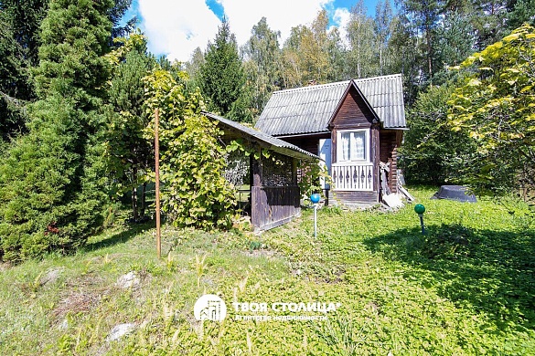 дача, Белая сирень - фото 36 