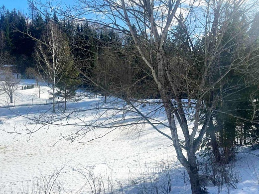 дача, Силичи - фото 39 